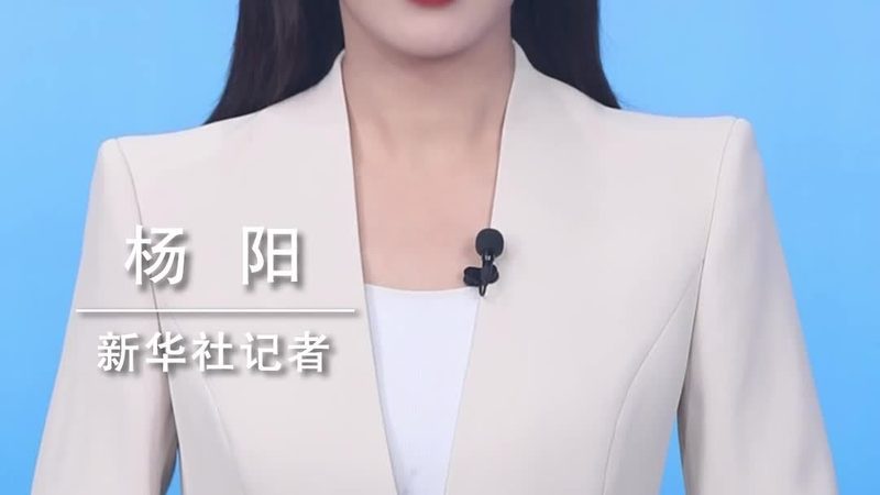 成都软件测试公司入职必备技能解析